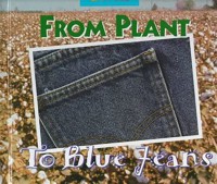 From Plant To Blue Jeans A photo Essay