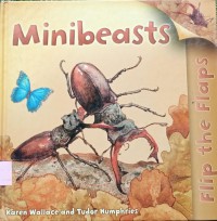 Flip the Flaps : Minibeasts