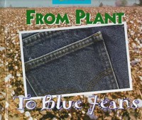 From Plant To Blue Jeans A photo Essay