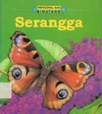 Mengenal Ilmu: Binatang ; Serangga