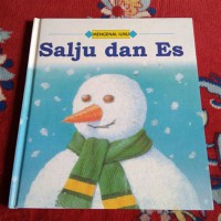 Mengenal Ilmu: Salju dan es